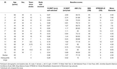 Sensory Amplitude Electrical Stimulation via Sock Combined With Standing and Mobility Activities Improves Walking Speed in Individuals With Chronic Stroke: A Pilot Study